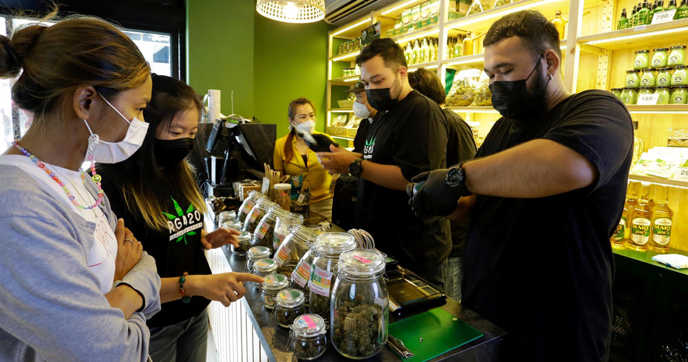 cannabis cannabis industry