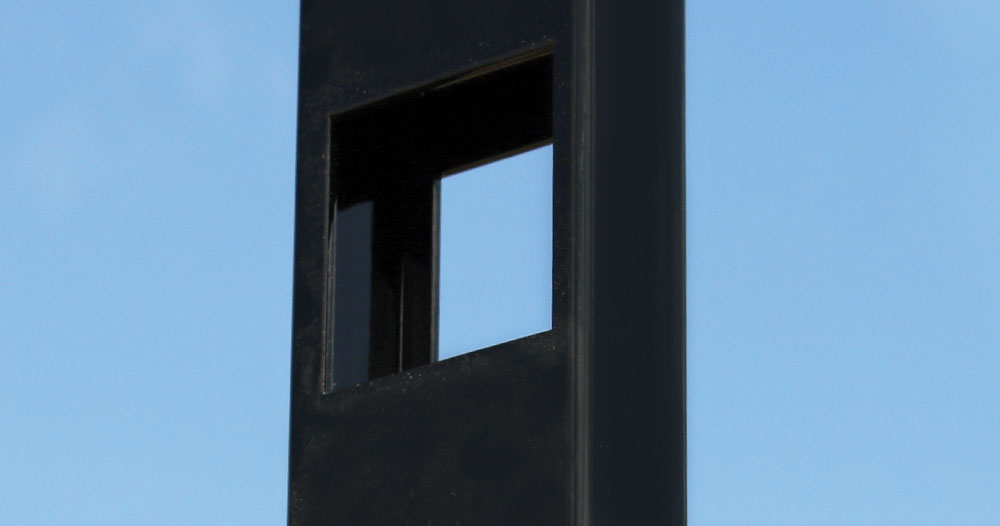 amiguard posts